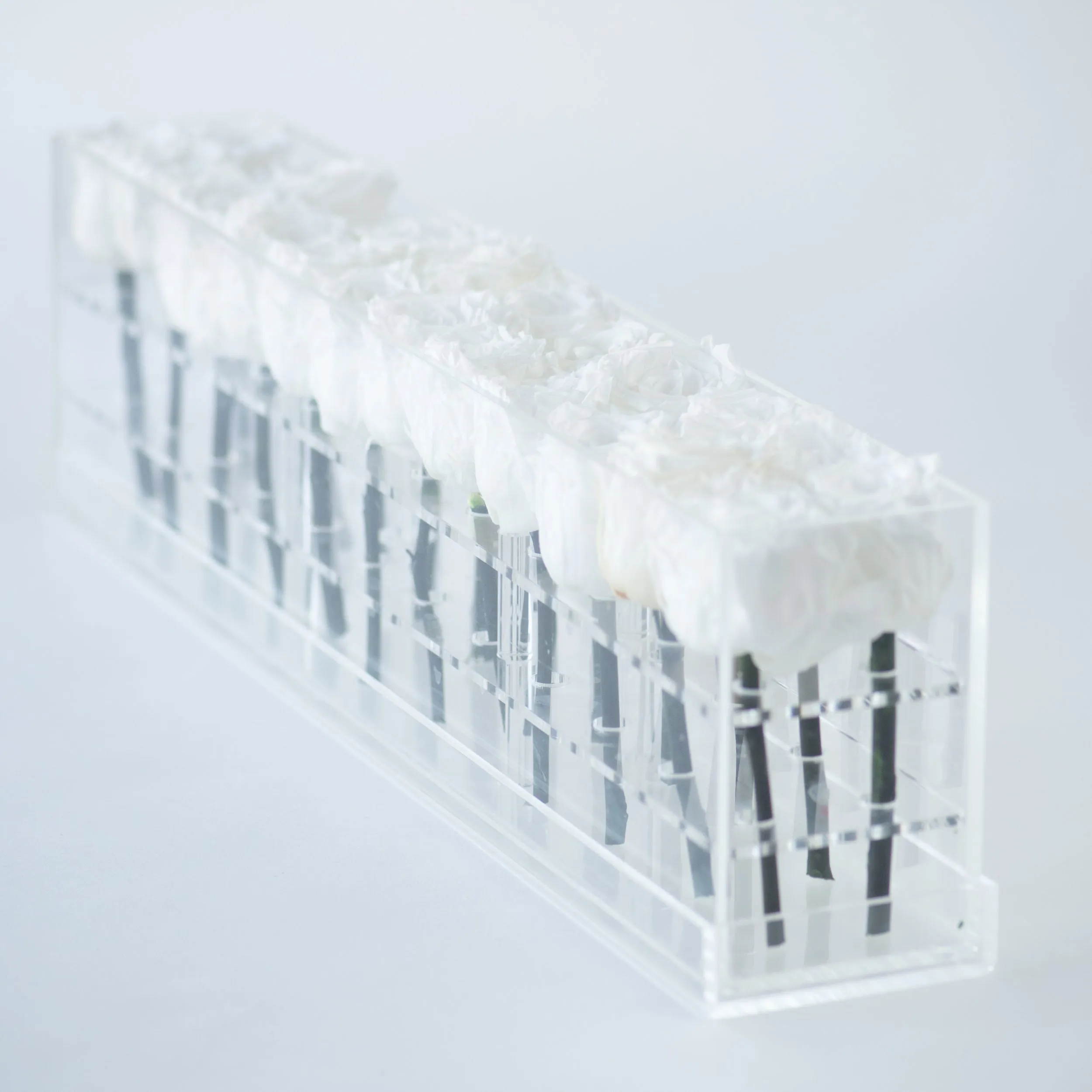 24 Double Rosebox Preserved