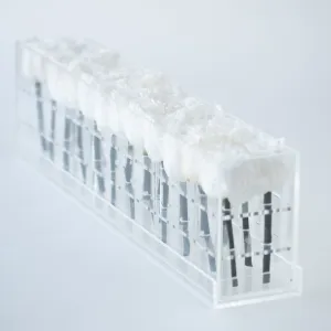 24 Double Rosebox Preserved
