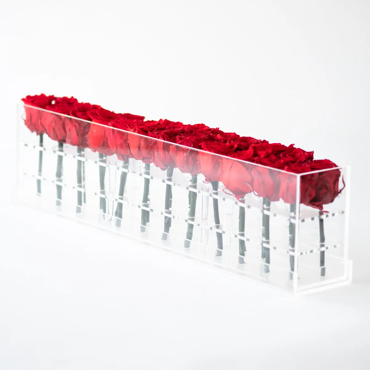 24 Double Rosebox Preserved