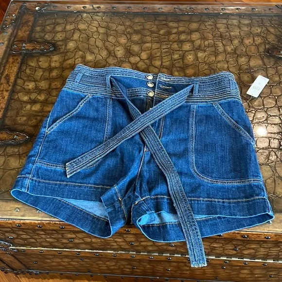 Anthropologie Pilcro Denim shorts