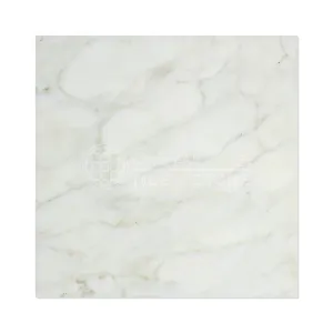 Calacatta Gold (Italian Calcutta) Marble 12 X 12 Field Tile (Lot of 250 pcs. (250 sq. ft.), Polished)