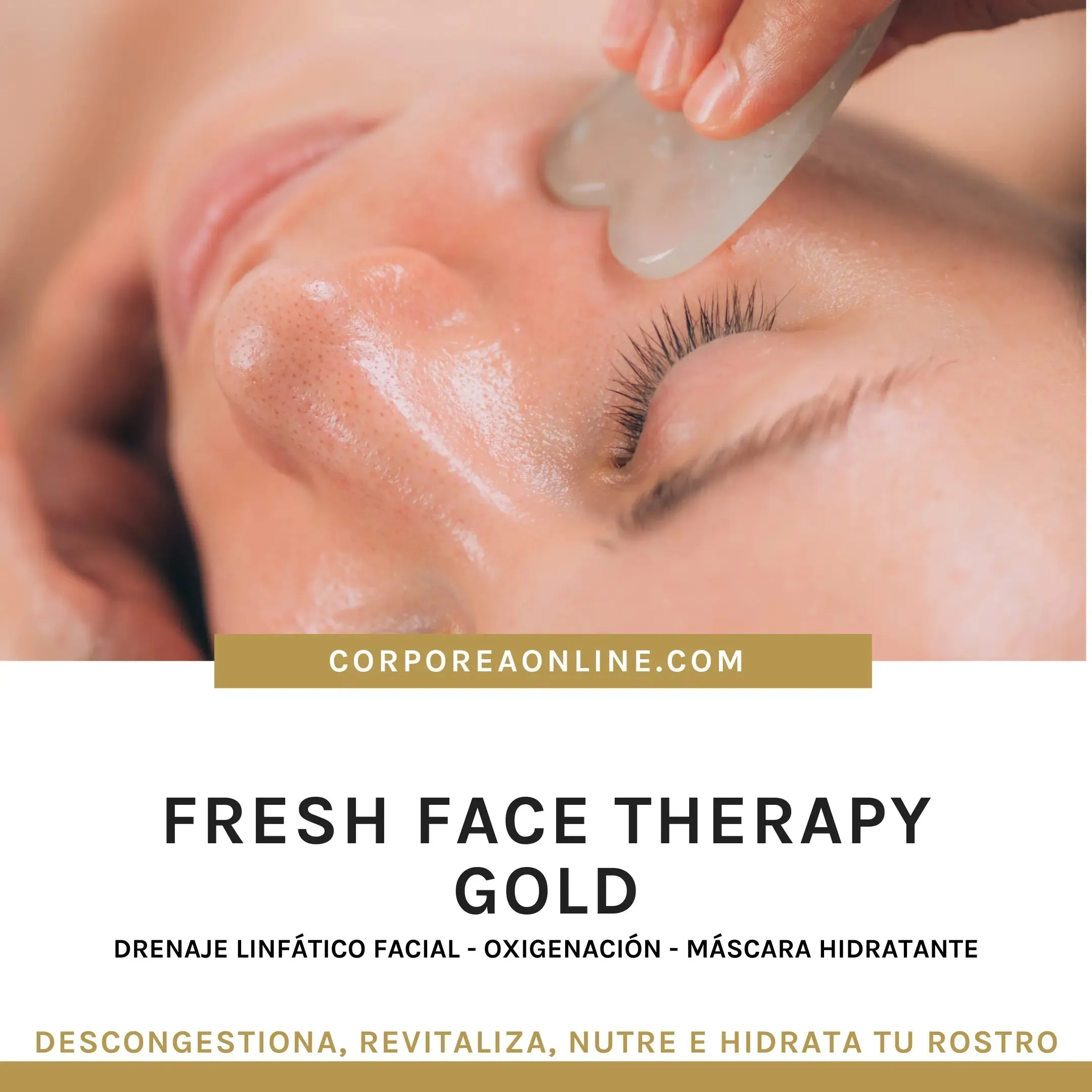 FRESH FACE THERAPY