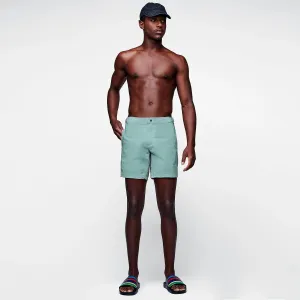 The Lifeguard